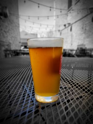 The Toadstool Pub by null