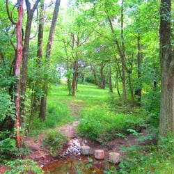 Centralia Disc Golf Course - #11