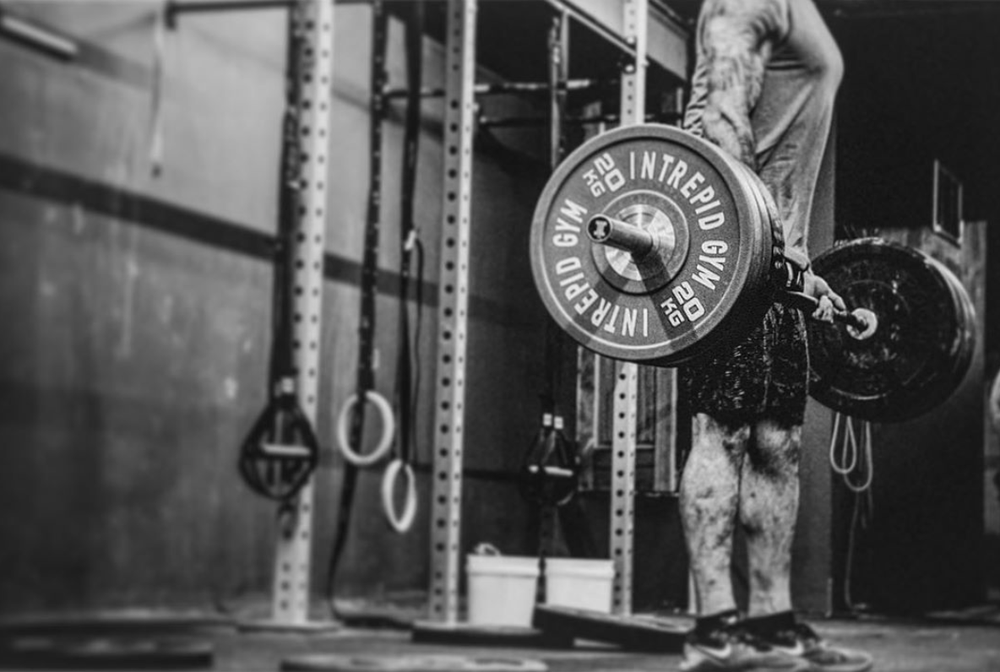 Intrepid Gym Logo