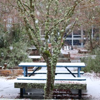 Ingraham High School - Middle Schools & High Schools Near Me - Seattle, Washington Ingraham High School - Middle Schools & High Schools Near Me - Seattle, Washington