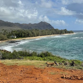CJM Stables - Ocean views - Horseback Riding Near Me