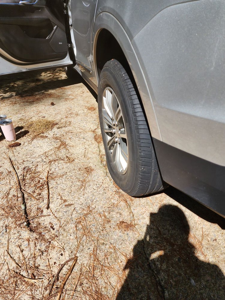 BUDGET CAR RENTAL Updated September 2024 22 Photos & 126 Reviews