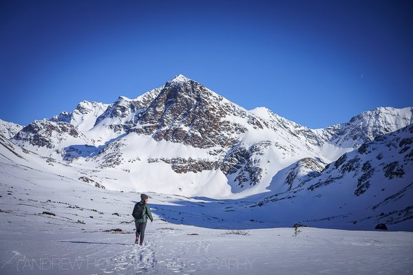 Williwaw Lakes Trail by null