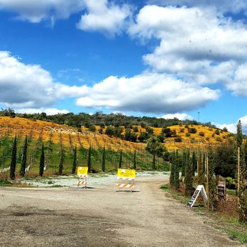Granite Lion Cellars - Super bloooom - Wineries Near Me - Jamul, California Granite Lion Cellars - Super bloooom - Wineries Near Me - Jamul, California