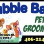 Photo of Bubble Bath Pet Grooming