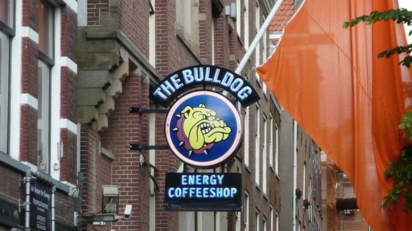 The Bulldog Hotel by null