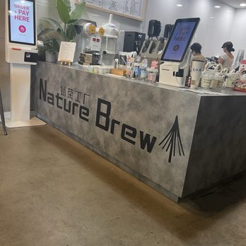 Nature Brew - Order Pickup counter - Bubble Tea Near Me - Plano, Texas
