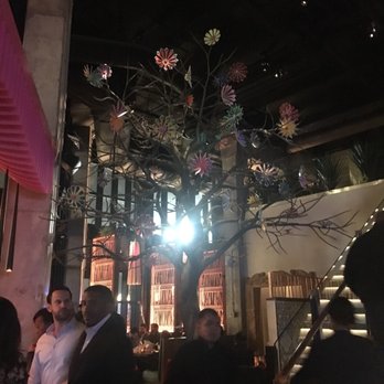 Mi Vida - Tree in the middle of the restaurant. - Mexican Near Me - Washington, DC, District of Columbia