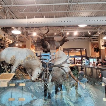 Scheels - Sports Wear Near Me - Sparks, Nevada