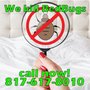 Photo of DFW Best Pest Exterminators