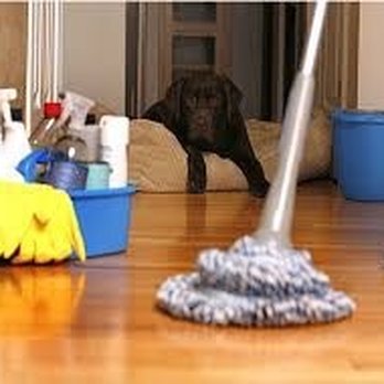 Effi Clean Team - The Best Cleaning Services in Northwest Suburbs! - Home Cleaning Near Me - Mount Prospect, Illinois