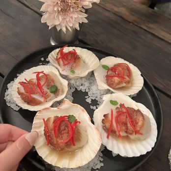 Wormwood - Scallops - May 2024 - French Near Me - San Diego, California Wormwood - Scallops - May 2024 - French Near Me - San Diego, California