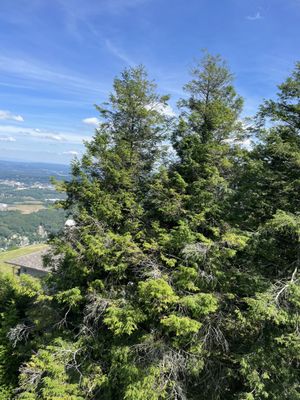 Lookout Mountain Incline Railway by null