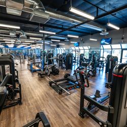 Movement Fitness  - Image of the glute and other exercise machines at Movement Fitness Las Vegas.