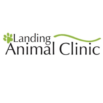 VCA Canada Landing Animal Clinic - Veterinarians Near Me - Calgary, Alberta VCA Canada Landing Animal Clinic - Veterinarians Near Me - Calgary, Alberta