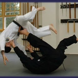 Mountain Stream Budo