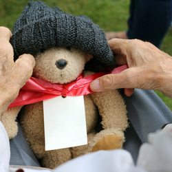Burbank Hospice Care - Volunteers come from all walks of life and join forces to provide companionship and emotional support for patients and their loved ones.
