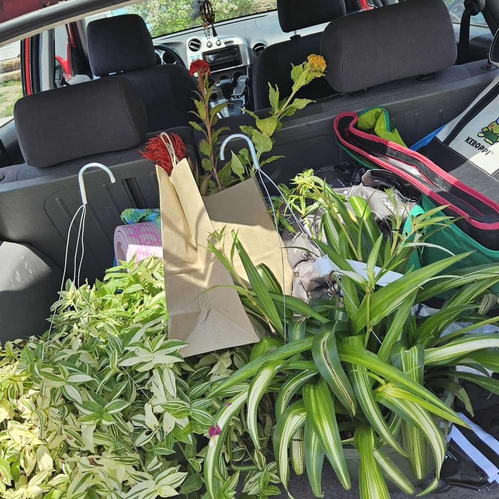 Stomping Ground - Oops, I absolutely NEEDED these plants! - Home & Garden Near Me - Indianapolis, Indiana