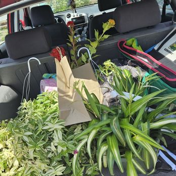 Stomping Ground - Oops, I absolutely NEEDED these plants! - Home & Garden Near Me - Indianapolis, Indiana Stomping Ground - Oops, I absolutely NEEDED these plants! - Home & Garden Near Me - Indianapolis, Indiana