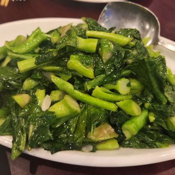 Hong Kong City BBQ - Chinese Broccoli cut small - Dim Sum Near Me - Tamarac, Florida Hong Kong City BBQ - Chinese Broccoli cut small - Dim Sum Near Me - Tamarac, Florida