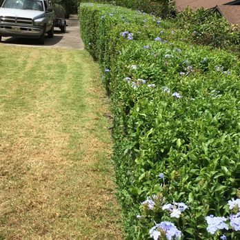 Top Rated Island Maintenance - a car parked on the side of the road - Lawn Services Near Me - Makawao, Hawaii Top Rated Island Maintenance - a car parked on the side of the road - Lawn Services Near Me - Makawao, Hawaii