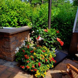 Don Quijote - Gorgeous planters!