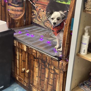 Live Love Pet - Pet Groomers Near Me - Honolulu, Hawaii Live Love Pet - Pet Groomers Near Me - Honolulu, Hawaii