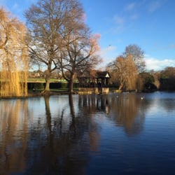 Broomfield Park - The duck pond