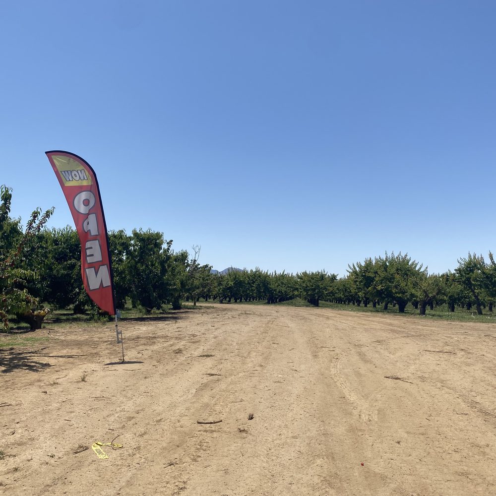 Maggiore Cherry Ranch - Fruits & Veggies Near Me - Brentwood, California