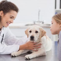 Easyvet Veterinarian - Greater Chattanooga