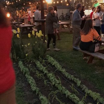 Paradigm Gardens - Vegetables growing right next to the bench I'm eating at #Yowzers - Farms Near Me - New Orleans, Louisiana Paradigm Gardens - Vegetables growing right next to the bench I'm eating at #Yowzers - Farms Near Me - New Orleans, Louisiana