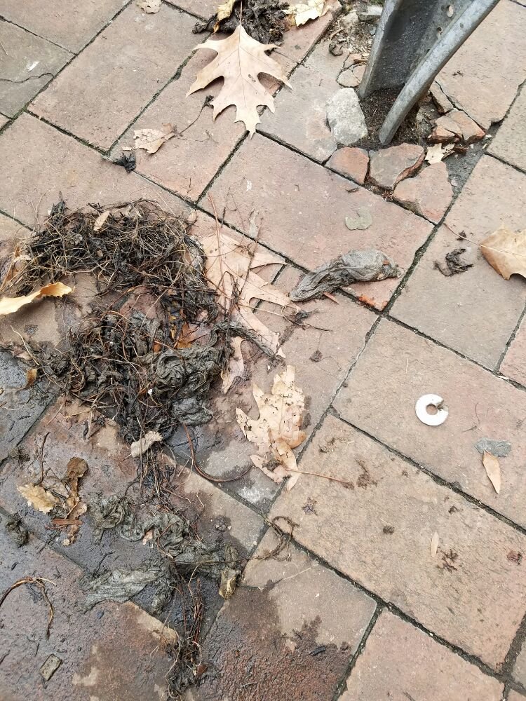 Slide of A & S Drain Cleaning