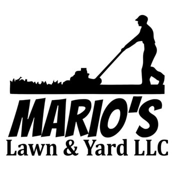 1. Mario's Yard and Lawn