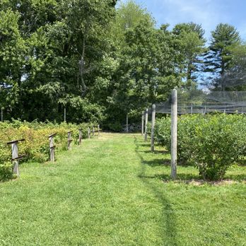 Doe Orchards - Pick Your Own Farms Near Me - Harvard, Massachusetts