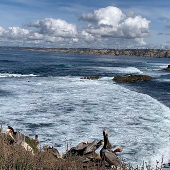La Jolla Cove - Parks Near Me - La Jolla, California La Jolla Cove - Parks Near Me - La Jolla, California