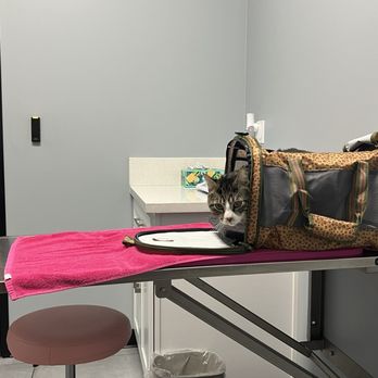 Long Beach Animal Urgent Care - Veterinarians Near Me - Long Beach, California Long Beach Animal Urgent Care - Veterinarians Near Me - Long Beach, California
