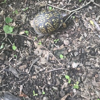 Farbach-Werner Nature Preserve - Turtle - Parks Near Me - Cincinnati, Ohio Farbach-Werner Nature Preserve - Turtle - Parks Near Me - Cincinnati, Ohio