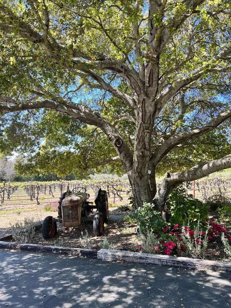 NICHOLSON VINEYARDS WINERY 38 Photos & 39 Reviews 2800 Pleasant