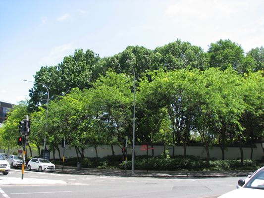 Chinese Garden of Friendship by null