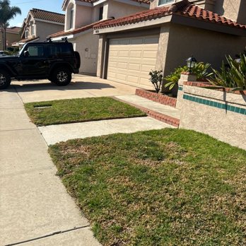 New Gen Landscaping  - This was a before picture of crab grass that we removed!! - Landscaping Near Me