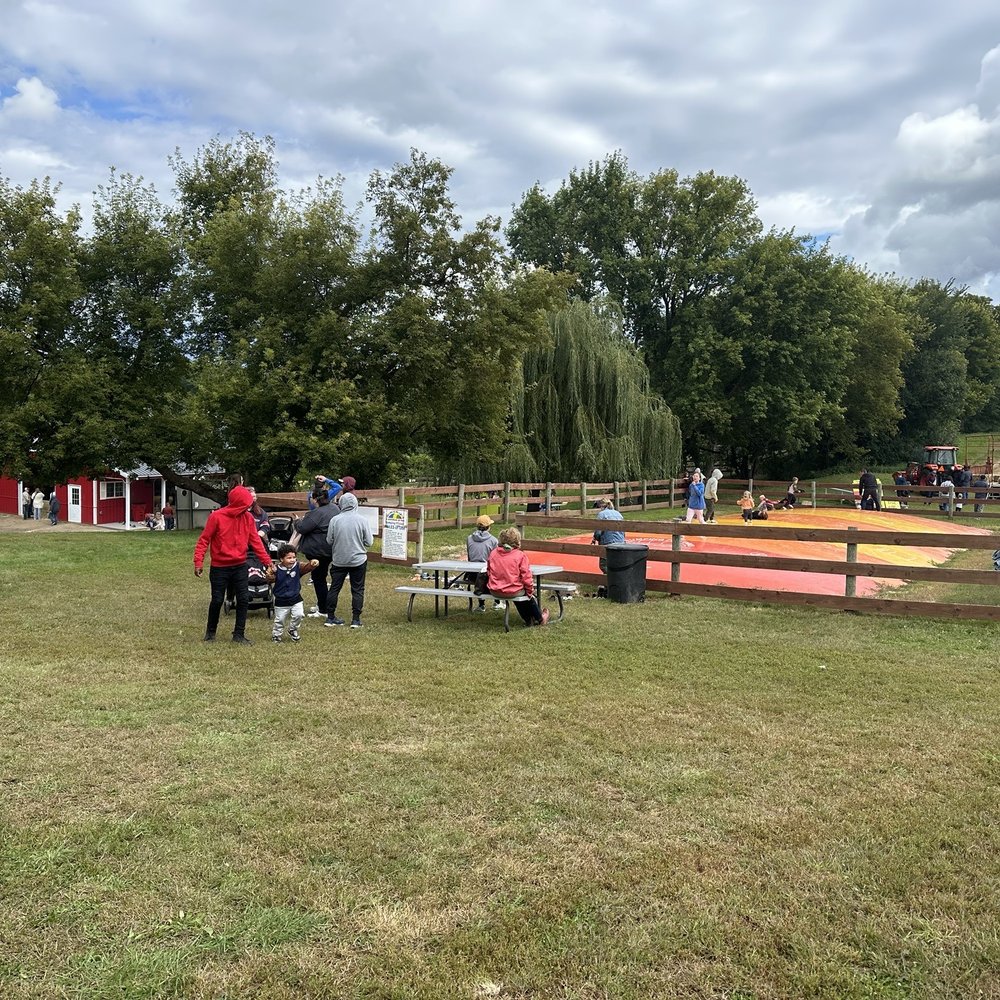 Luceline Orchard - CSA Near Me - Watertown, Minnesota