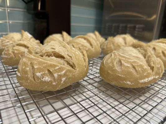 Neon Belly Coffee & Bakery by null