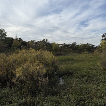 Cosumnes River Preserve - Parks Near Me - Galt, California