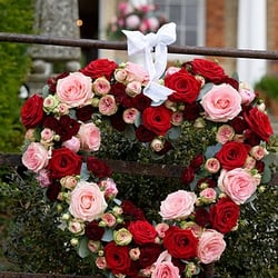 Fabulous Flowers