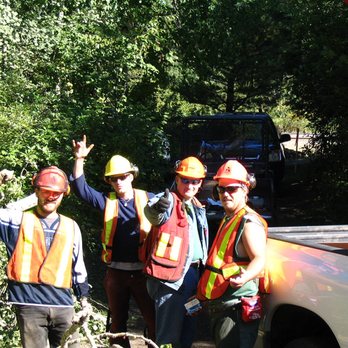 Arborcare Tree Service - a group of workers - Tree Services Near Me