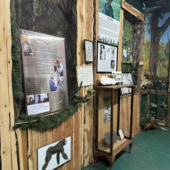 Bigfoot Museum - Museums Near Me - Clayton, Oklahoma Bigfoot Museum - Museums Near Me - Clayton, Oklahoma