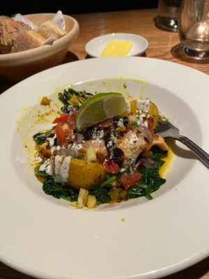 The Opposition by null