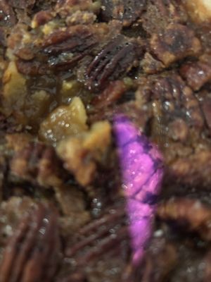 Sweet Auburn Bread Company by null