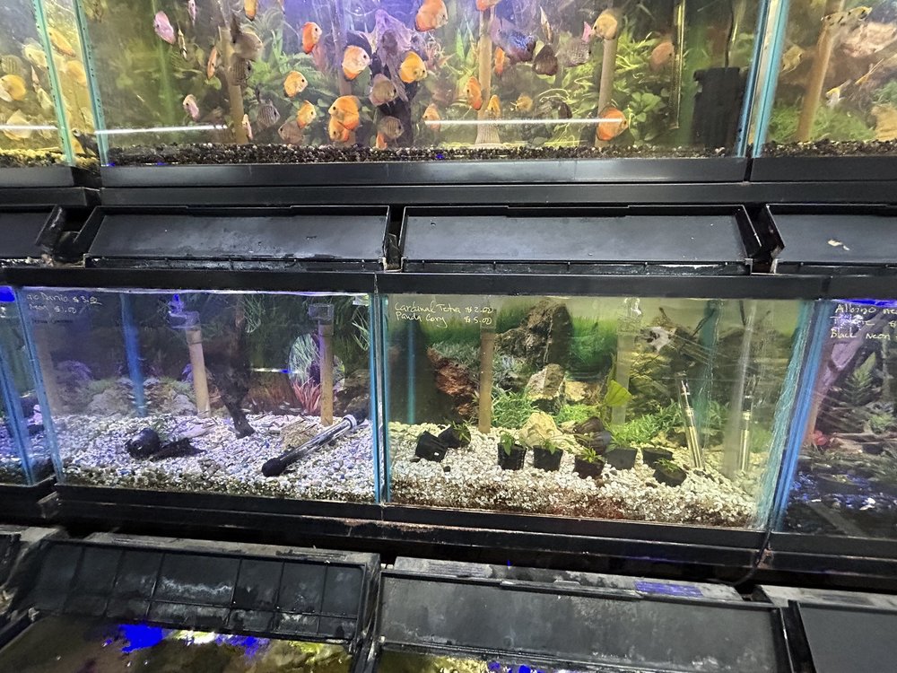 TWINS AQUARIUM 35 Photos & 69 Reviews 7912 West Ln, Stockton