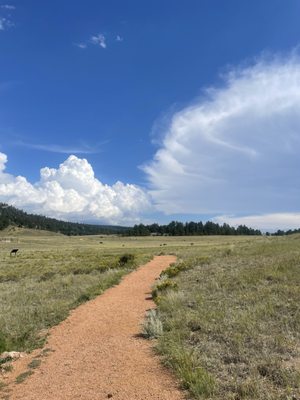 Florissant Fossil Beds National Monument by null